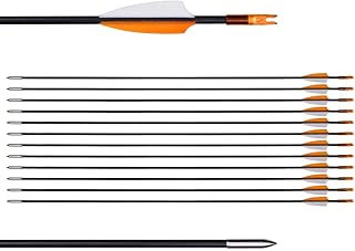 Custom Arrows
