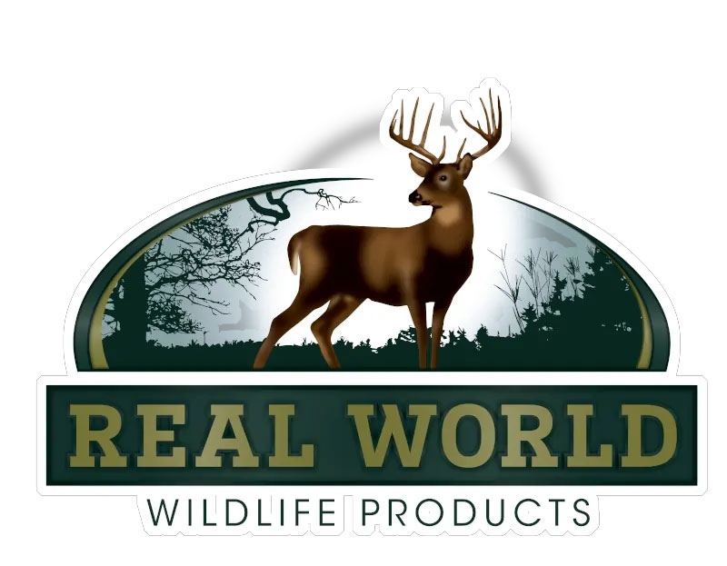 real world logo